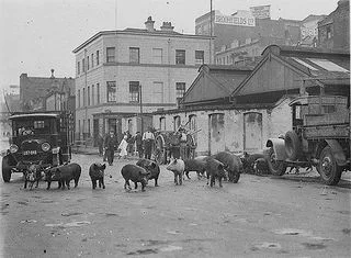 Image description